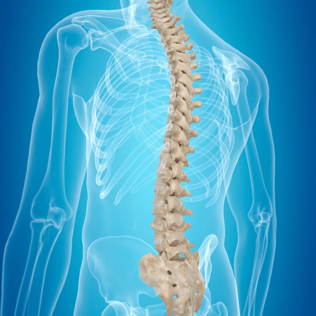 Yoga Therapy for Back Care